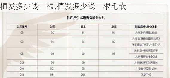 植发多少钱一根,植发多少钱一根毛囊