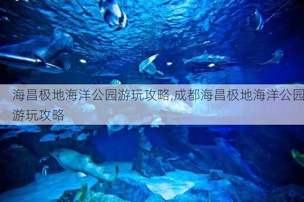 海昌极地海洋公园游玩攻略,成都海昌极地海洋公园游玩攻略