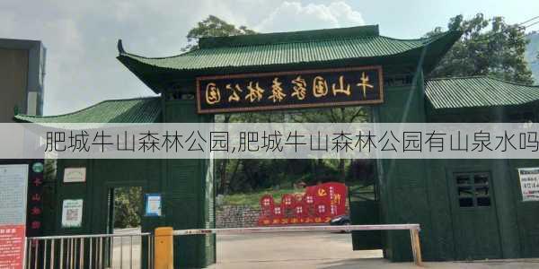 肥城牛山森林公园,肥城牛山森林公园有山泉水吗