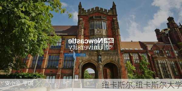 纽卡斯尔,纽卡斯尔大学