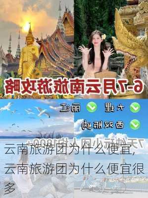 云南旅游团为什么便宜,云南旅游团为什么便宜很多