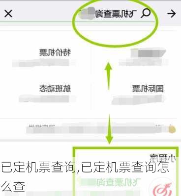 已定机票查询,已定机票查询怎么查