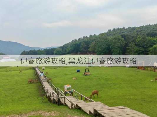 伊春旅游攻略,黑龙江伊春旅游攻略