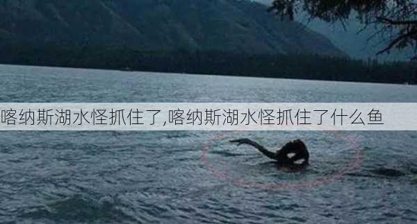 喀纳斯湖水怪抓住了,喀纳斯湖水怪抓住了什么鱼