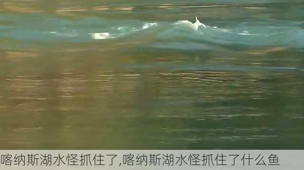 喀纳斯湖水怪抓住了,喀纳斯湖水怪抓住了什么鱼