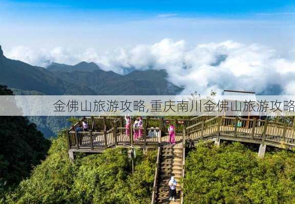 金佛山旅游攻略,重庆南川金佛山旅游攻略