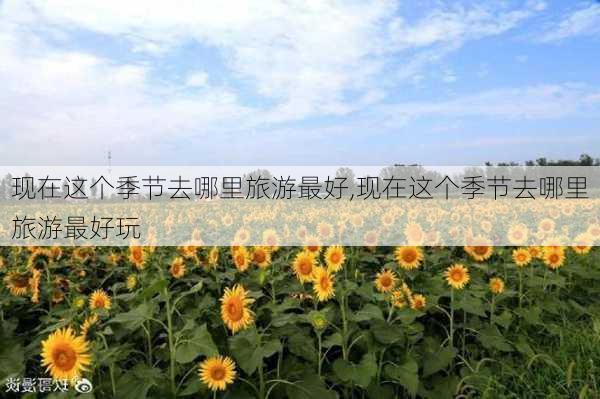 现在这个季节去哪里旅游最好,现在这个季节去哪里旅游最好玩