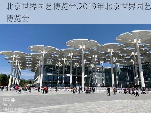 北京世界园艺博览会,2019年北京世界园艺博览会