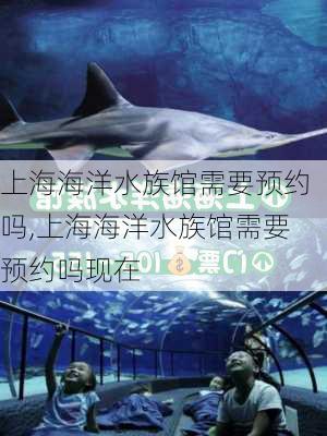 上海海洋水族馆需要预约吗,上海海洋水族馆需要预约吗现在