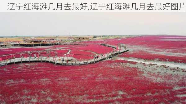 辽宁红海滩几月去最好,辽宁红海滩几月去最好图片