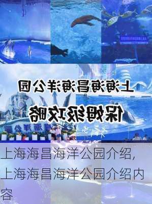 上海海昌海洋公园介绍,上海海昌海洋公园介绍内容