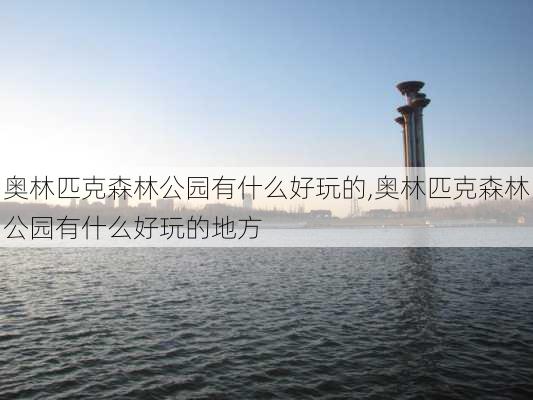 奥林匹克森林公园有什么好玩的,奥林匹克森林公园有什么好玩的地方