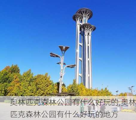 奥林匹克森林公园有什么好玩的,奥林匹克森林公园有什么好玩的地方