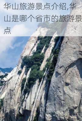 华山旅游景点介绍,华山是哪个省市的旅游景点