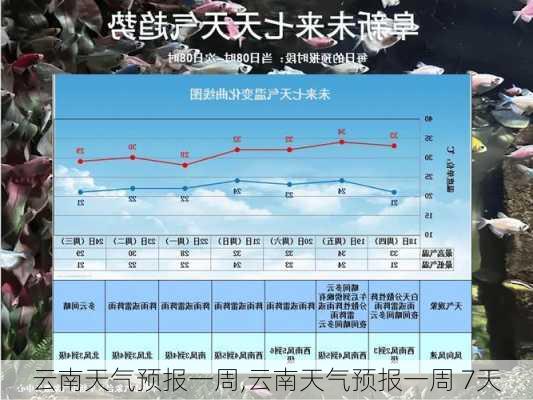 云南天气预报一周,云南天气预报一周 7天