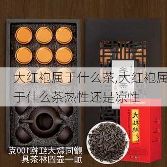 大红袍属于什么茶,大红袍属于什么茶热性还是凉性