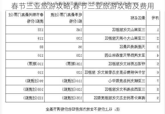 春节三亚旅游攻略,春节三亚旅游攻略及费用