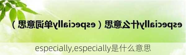 especially,especially是什么意思