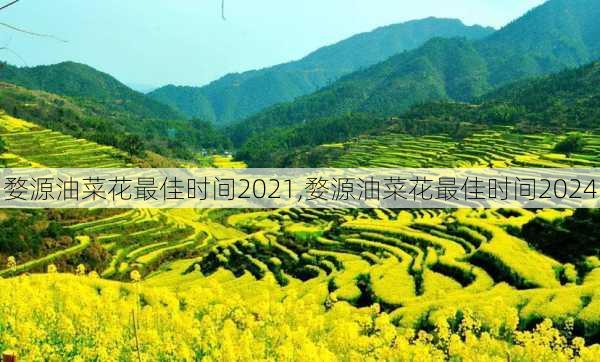 婺源油菜花最佳时间2021,婺源油菜花最佳时间2024