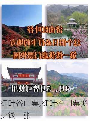 红叶谷门票,红叶谷门票多少钱一张