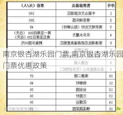 南京银杏湖乐园门票,南京银杏湖乐园门票优惠政策