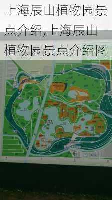 上海辰山植物园景点介绍,上海辰山植物园景点介绍图