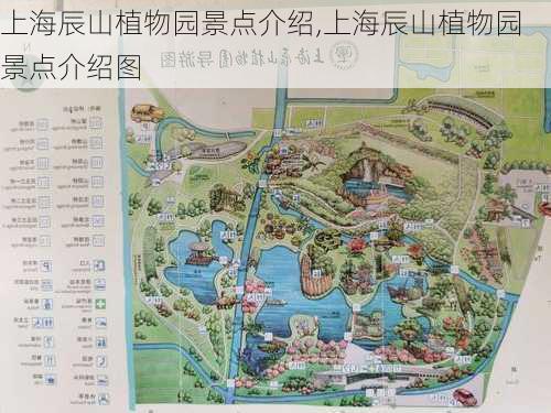 上海辰山植物园景点介绍,上海辰山植物园景点介绍图