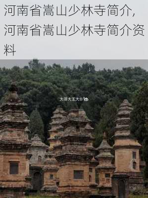 河南省嵩山少林寺简介,河南省嵩山少林寺简介资料