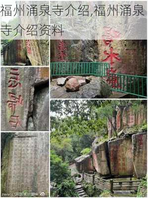 福州涌泉寺介绍,福州涌泉寺介绍资料