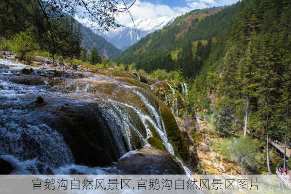 官鹅沟自然风景区,官鹅沟自然风景区图片