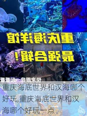 重庆海底世界和汉海哪个好玩,重庆海底世界和汉海哪个好玩一点