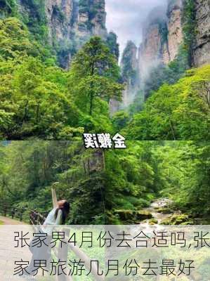 张家界4月份去合适吗,张家界旅游几月份去最好