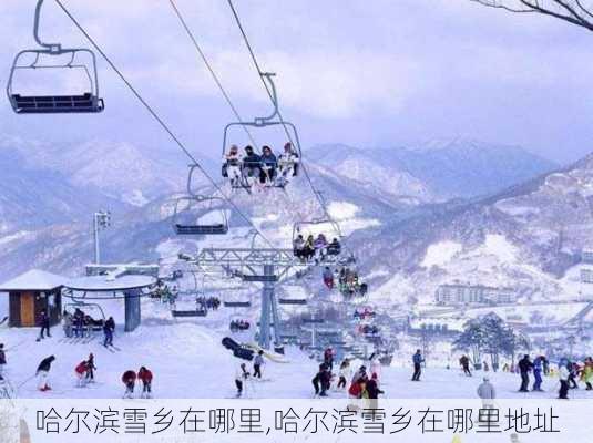 哈尔滨雪乡在哪里,哈尔滨雪乡在哪里地址