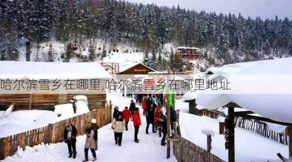 哈尔滨雪乡在哪里,哈尔滨雪乡在哪里地址