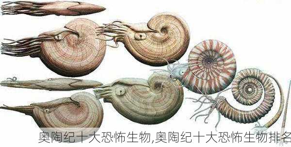 奥陶纪十大恐怖生物,奥陶纪十大恐怖生物排名