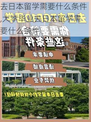 去日本留学需要什么条件,大学毕业去日本留学需要什么条件