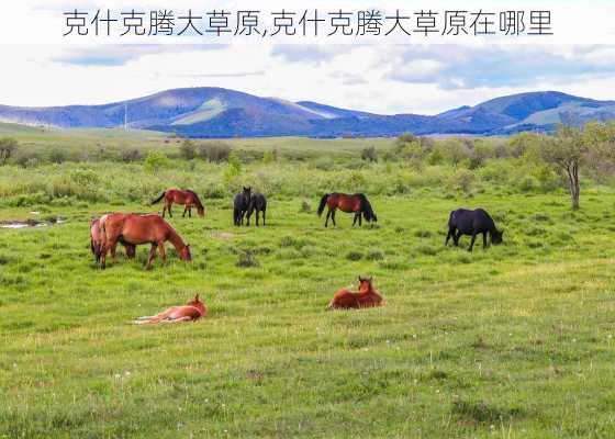 克什克腾大草原,克什克腾大草原在哪里