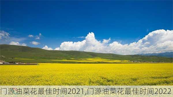 门源油菜花最佳时间2021,门源油菜花最佳时间2022