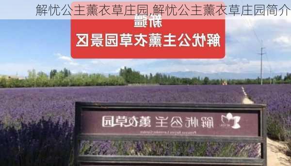 解忧公主薰衣草庄园,解忧公主薰衣草庄园简介