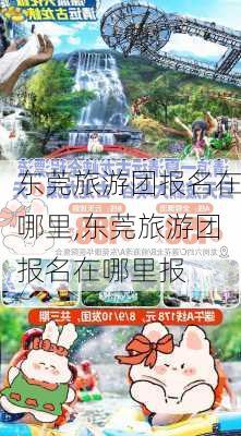 东莞旅游团报名在哪里,东莞旅游团报名在哪里报