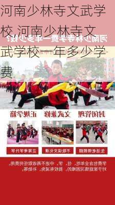 河南少林寺文武学校,河南少林寺文武学校一年多少学费