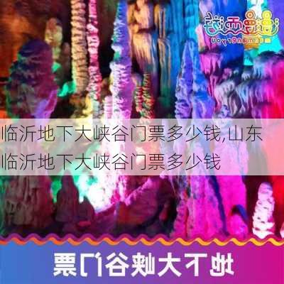 临沂地下大峡谷门票多少钱,山东临沂地下大峡谷门票多少钱