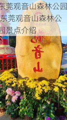 东莞观音山森林公园,东莞观音山森林公园景点介绍