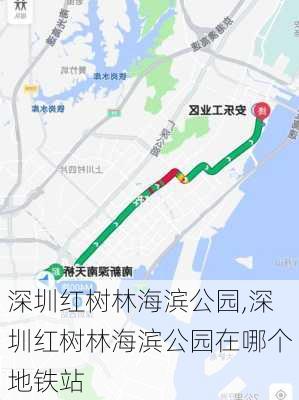 深圳红树林海滨公园,深圳红树林海滨公园在哪个地铁站