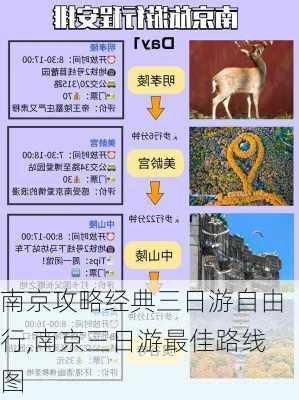 南京攻略经典三日游自由行,南京三日游最佳路线图