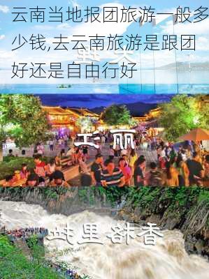 云南当地报团旅游一般多少钱,去云南旅游是跟团好还是自由行好