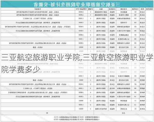 三亚航空旅游职业学院,三亚航空旅游职业学院学费多少