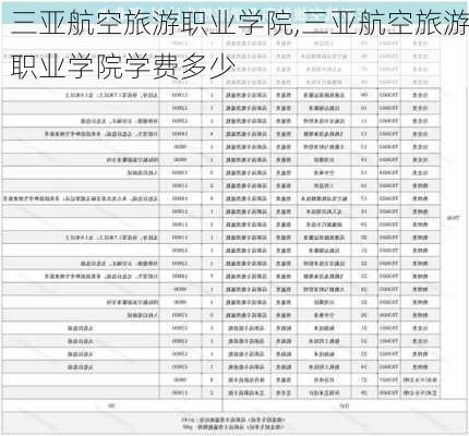 三亚航空旅游职业学院,三亚航空旅游职业学院学费多少