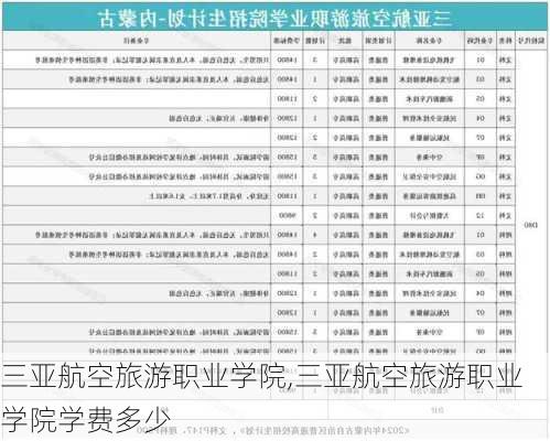 三亚航空旅游职业学院,三亚航空旅游职业学院学费多少