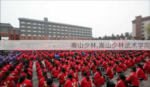 嵩山少林,嵩山少林武术学院